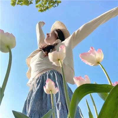 戴夫·查普尔:扭曲事实的时代